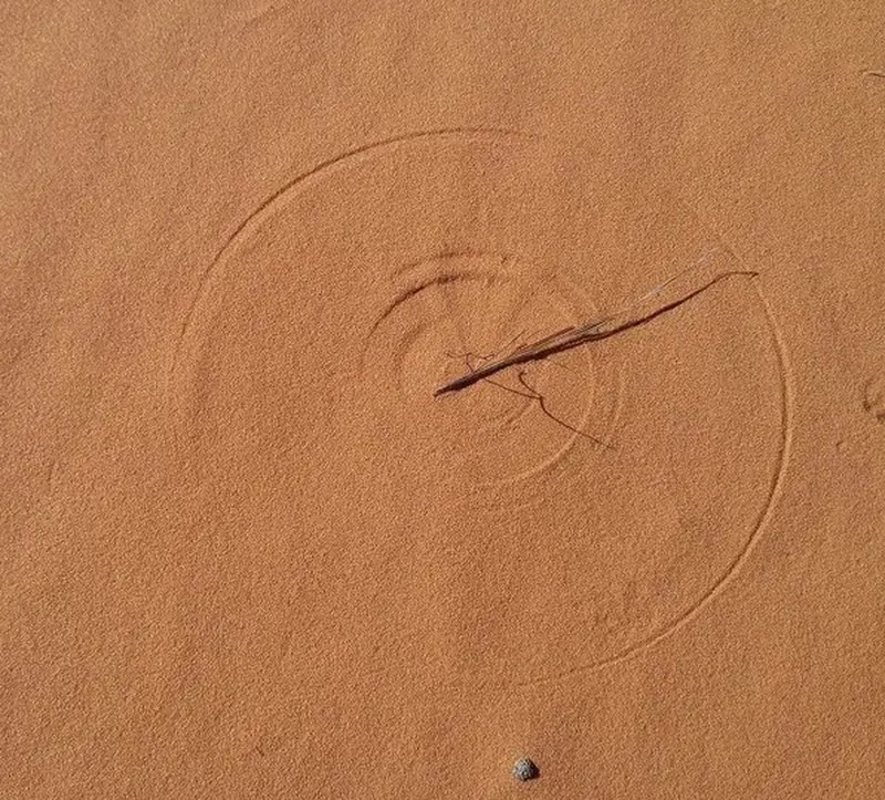 Gambar yang Super Satisfying Biar Harimu Nggak Garing.