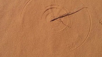 Lingkaran yang sempurna ini dibentuk oleh rumput mati. Demikian dirangkum dari Buzzfeed. Foto: grastard / Via reddit.com