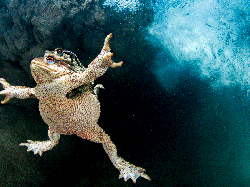 Jujur! Karya Jawara Kontes Foto Alam Ini Bikin Mata Takjub