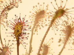 Jujur! Karya Jawara Kontes Foto Alam Ini Bikin Mata Takjub