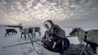Foto tahun 2018. Terlihat seorang anggota Suku Khudi yang tinggal di Distrik Otonom Yamalo-Nenets, Siberia barat laut