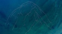 Ada yang bisa menebak ini gambar apa? Burung? lautan? Ini adalah foto dari Mohammad Alqattan dengan judul Fuji Mountain. (bigpicturecompetition.org)