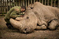 BigPicture Natural World Photography 2020