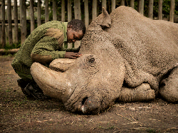 Jujur! Karya Jawara Kontes Foto Alam Ini Bikin Mata Takjub