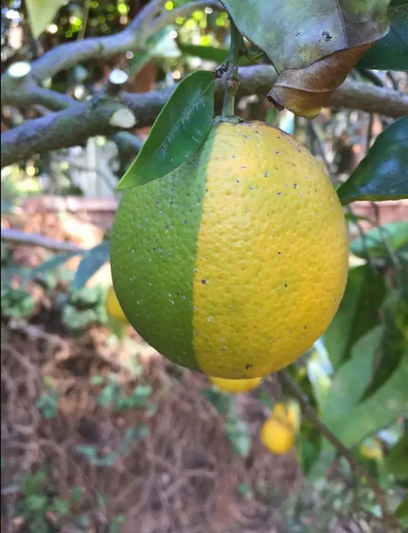 Gambar yang Super Satisfying Biar Harimu Nggak Garing.