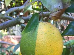 Foto yang Jadi Bukti Keseimbangan Alam