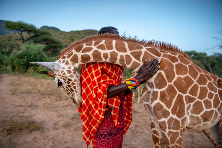BigPicture Natural World Photography 2020