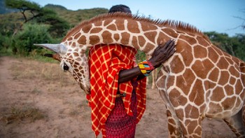 Juara kategori Photo Story diraih oleh Ami Vitale dari Amerika Serikat. Foto: BigPicture Natural World Photography