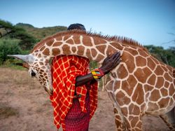 Jujur! Karya Jawara Kontes Foto Alam Ini Bikin Mata Takjub