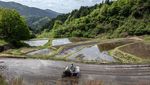 Petani Jepang Memasuki Musim Tanam