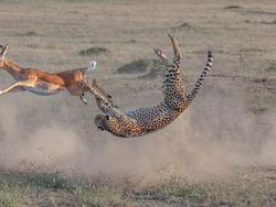 Jujur! Karya Jawara Kontes Foto Alam Ini Bikin Mata Takjub
