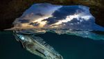 Deretan Foto Natural World Photography Terbaik 2020