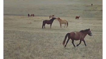 Jacqui Kenny kemudian mengabadikan dan membagikan ke akun Instagram @streetview.portraits Foto: Instagram/streetview.portraits