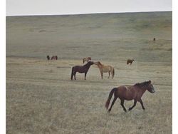 Melihat Keindahan Dunia dari Google Street View