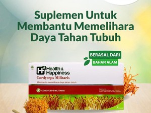 Potensi Jamur Cordyceps Militaris untuk Proteksi Awal COVID-19
