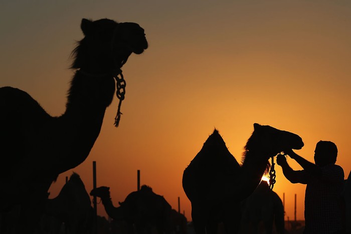 Dubai merupakan kawasan yang memiliki peradaban modern. Gemerlap kota Dubai di kala malam pun membuat kota ini jadi salah satu kota tak pernah tidur di dunia.