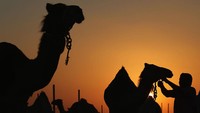 Gimana tertarik menjelajahi kota Muslim yang penuh gemerlap ini? Dan Kitwood/Getty Images