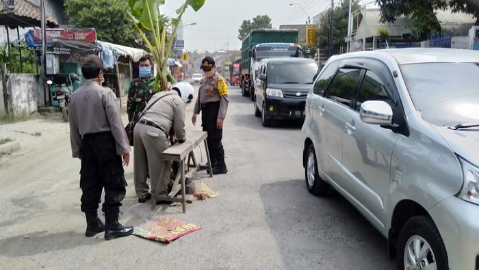 pohon pisang sempat tertanam di tengah jalan poros nasional Lamongan-Babat