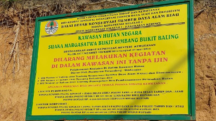 SM Rimbang Baling Riau