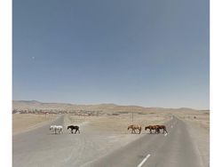 Melihat Keindahan Dunia dari Google Street View