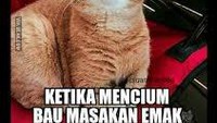 Masakan ibu memang sederhana tapi karena diolah dengan penuh cinta jadinya punya rasa istimewa. Apalagi rasa masakan ini sudah dirasakan sejak masih kecil. Foto: istimewa