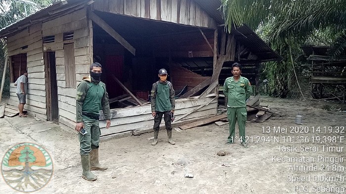 Rumah dan kebun warga di Bengkalis, Riau dirusak kawanan gajah liar (dok. BBKSDA Riau)
