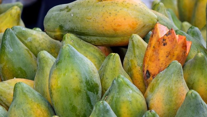 Susu pepaya
