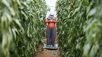Bahkan beberapa orang akan mengambil cuti dari pekerjaan untuk memastikan mereka bisa begadang semalaman tanpa harus khawatir tentang pekerjaan mereka esok harinya. Anadolu Agency via Getty Images/Anadolu Agency