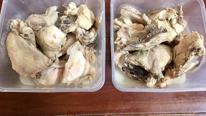 Tempat beli opor ayam online