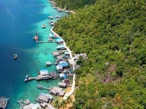 Mengenang Kejayaan Petani Cengkeh Sebelum Reformasi di Perbatasan RI