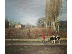 Melihat Keindahan Dunia dari Google Street View