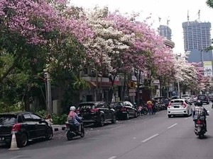 Hadiah Lebaran untuk Anda: Hunian Mewah Hanya Rp 2,9 Jutaan per Bulan!