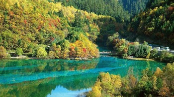 Wuhuahai adalah salah satu tempat paling menarik di Jiuzhaigou, Sichuan, China. Bagian-bagian batang pohon muncul di bawah danau yang jernih dan berwarna-warni. Foto: Sina Mobile