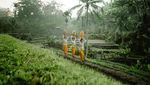 Seperti Ini Keindahan Sawah Sistem Subak di Bali