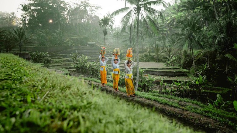 Subak Bali Sistem pengairan subak Bali