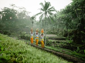 Balas Hinaan Senator Australia, Kemlu: Jangan-jangan Belum Pernah ke Bali