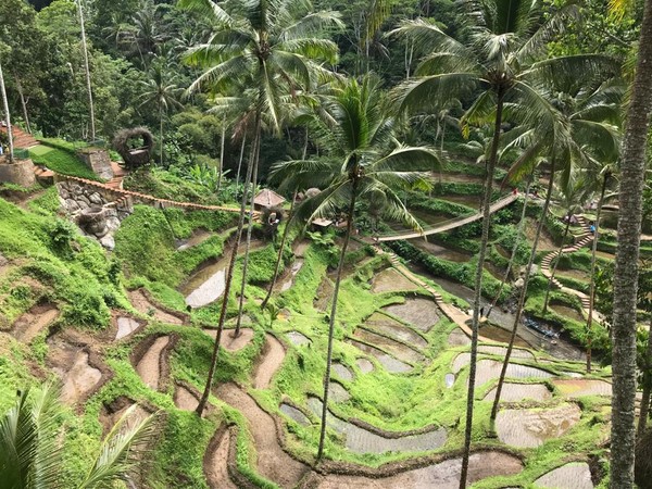 Subak tak hanya tentang sistem irigasi tradisional saja, namun subak memperlihatkan bagaimana masyarakat Bali memegang teguh filosofi kuno Tri Hita Karana yang diartikan sebagai Tiga hal yang sebabkan kesejahteraan. Yaitu hubungan harmonis manusia dengan Tuhan, hubungan harmonis dengan sesama manusia, dan hubungan harmonis antara manusia dengan alam dan lingkungannya. (Kemenpar) Subak tak hanya tentang sistem irigasi tradisional saja, namun subak memperlihatkan bagaimana masyarakat Bali memegang teguh filosofi kuno Tri Hita Karana yang diartikan sebagai Tiga hal yang sebabkan kesejahteraan. Yaitu hubungan harmonis manusia dengan Tuhan, hubungan harmonis dengan sesama manusia, dan hubungan harmonis antara manusia dengan alam dan lingkungannya. (Kemenpar)