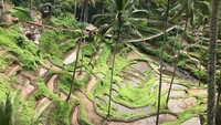 Subak tak hanya tentang sistem irigasi tradisional saja, namun subak memperlihatkan bagaimana masyarakat Bali memegang teguh filosofi kuno Tri Hita Karana yang diartikan sebagai Tiga hal yang sebabkan kesejahteraan. Yaitu hubungan harmonis manusia dengan Tuhan, hubungan harmonis dengan sesama manusia, dan hubungan harmonis antara manusia dengan alam dan lingkungannya. (Kemenpar)