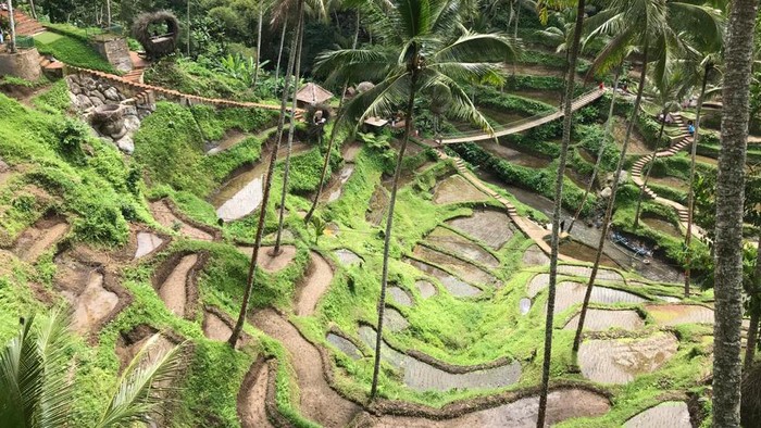 Sistem subak Bali