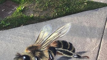 Sebelum pandemi, mereka terbiasa untuk mengikuti kompetisi seni. Foto: Instagram/@janrigginsart