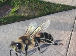 Foto Viral Gambar 3D Realistis Mahakarya Ibu dan Anak