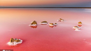 Danau Merah Muda di Ukraina. Danau ini  berubah dari merah muda pucat pada musim semi menjadi kemerahan cerah di musim panas. Foto: Sina Mobile