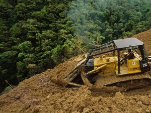 Selama Lockdown, Masyarakat Adat Rentan Kehilangan Tanah