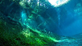 Gruner See atau Danau Hijau, belokasi di Styria, Autria. Di musim dingin, area sekitar danau kering. Begitu musim panas, air merendam kawasan tersebut. Kita melihat bangku-bangku, jembatan dan jalan setapaknya di dalam danau. Foto: Sina Mobile