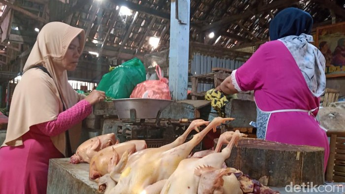harga daging ayam