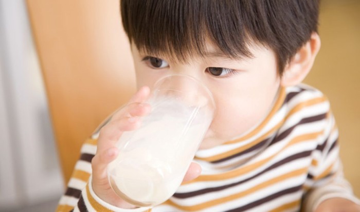 Susu Palsu -
