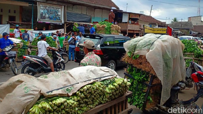 Lokasi jualan sayur di Malang