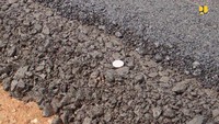 Kementerian PUPR juga telah menyiapkan anggaran sebesar Rp 25 miliar untuk pembelian resin produksi PT. Perhutani sebesar 800 ton untuk pengecatan marka jalan. Resin ini terbuat dari getah pohon pinus sehingga lebih ramah lingkungan, tingkat rekatnya dipercaya lebih kuat, serta lebih terjangkau. Foto: Dok. Kementerian PUPR