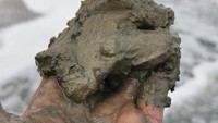 Kandungan mineral lumpur Laut Mati terbukti dapat mempercantik kulit. Tidak hanya untuk kecantikan saja, kandungan garam mineralnya juga banyak dimanfaatkan untuk kesehatan seperti memperbaiki tekstur kulit serta memperlancar peredaran darah (Maria Karsia)