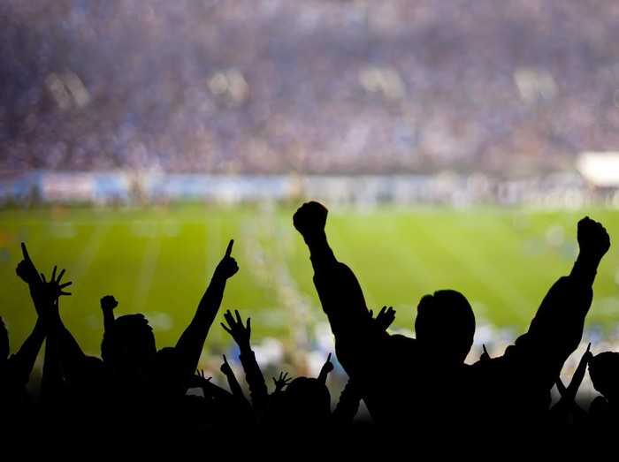 American football fans excited at a game.